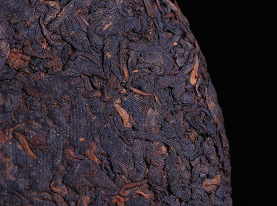 多选项的普洱茶发酵技术