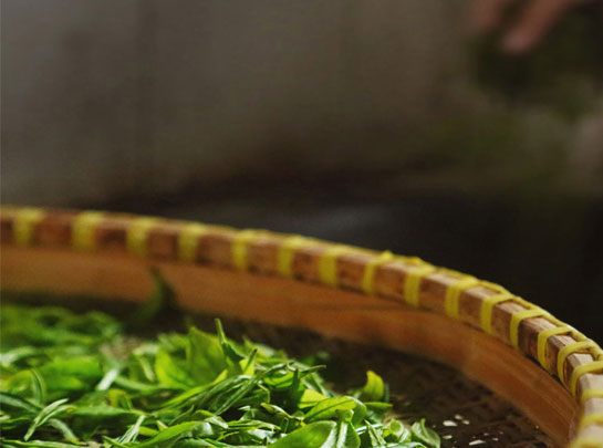 代代相传的非遗古法制茶